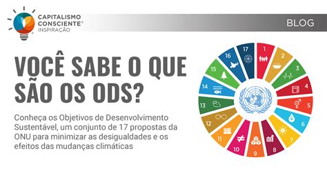 em 2021 odss|Todos os países da Europa já atingiram o ODS sobre  .